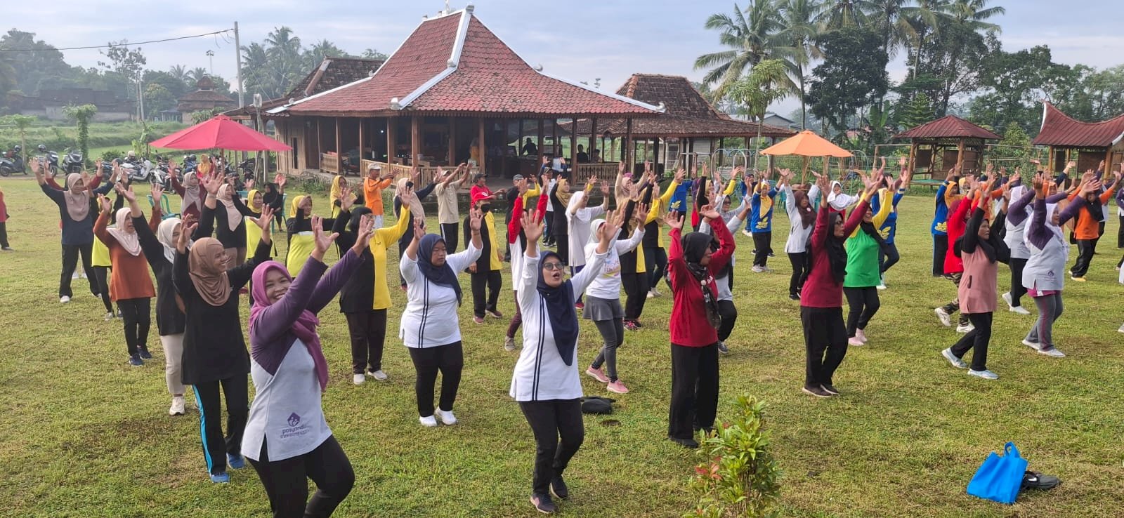 Semarak Hari Lanjut Usia Nasional [ Lansia Sehat Indonesia Kuat]